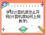 学校计算机课怎么开网(计算机课如何上网教学)