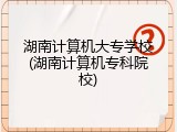 湖南计算机大专学校(湖南计算机专科院校)