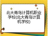 北大青鸟计算机职业学校(北大青鸟计算机学校)