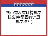 初中有没有计算机学校(初中是否有计算机学校？)