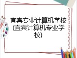 宜宾专业计算机学校(宜宾计算机专业学校)