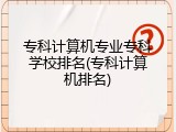 专科计算机专业专科学校排名(专科计算机排名)