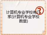 计算机专业学校有几家(计算机专业学校数量)