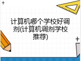 计算机哪个学校好调剂(计算机调剂学校推荐)