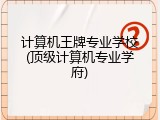 计算机王牌专业学校(顶级计算机专业学府)