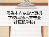 乌鲁木齐专业计算机学校(乌鲁木齐专业计算机学校)
