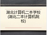 湖北计算机二本学校(湖北二本计算机院校)