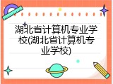 湖北省计算机专业学校(湖北省计算机专业学校)