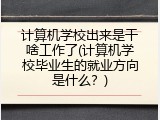 计算机学校出来是干啥工作了(计算机学校毕业生的就业方向是什么？)