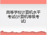 高等学校计算机水平考试(计算机等级考试)