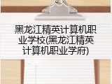 黑龙江精英计算机职业学校(黑龙江精英计算机职业学府)