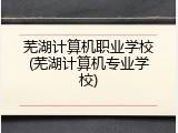 芜湖计算机职业学校(芜湖计算机专业学校)