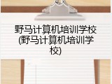 野马计算机培训学校(野马计算机培训学校)