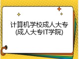 计算机学校成人大专(成人大专IT学院)
