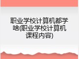 职业学校计算机都学啥(职业学校计算机课程内容)