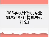 985学校计算机专业排名(985计算机专业排名)