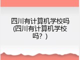 四川有计算机学校吗(四川有计算机学校吗？)