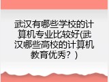 武汉有哪些学校的计算机专业比较好(武汉哪些高校的计算机教育优秀?)