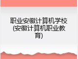 职业安徽计算机学校(安徽计算机职业教育)