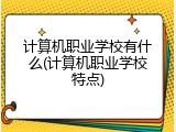 计算机职业学校有什么(计算机职业学校特点)