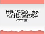 计算机编程的二表学校(计算机编程双学位学校)
