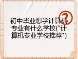 初中毕业想学计算机专业有什么学校("计算机专业学校推荐")