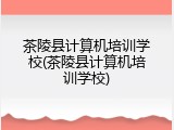 茶陵县计算机培训学校(茶陵县计算机培训学校)