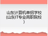 山东计算机单招学校(山东IT专业高职院校)