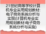 21世纪高等学校计算机专业实用规划教材:电子商务系统分析与实现(计算机专业实用规划教材:电子商务系统分析与实施)
