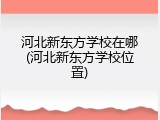 河北新东方学校在哪(河北新东方学校位置)