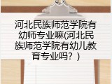 河北民族师范学院有幼师专业嘛(河北民族师范学院有幼儿教育专业吗？)