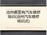 沧州哪里有汽车维修培训(沧州汽车维修培训点)