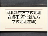 河北新东方学校地址在哪里(河北新东方学校地址在哪)