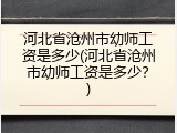 河北省沧州市幼师工资是多少(河北省沧州市幼师工资是多少？)