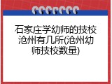 石家庄学幼师的技校沧州有几所(沧州幼师技校数量)
