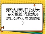 河北幼师对口公办大专分数线(河北幼师对口公办大专录取线)