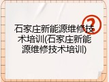 石家庄新能源维修技术培训(石家庄新能源维修技术培训)