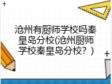 沧州有厨师学校吗秦皇岛分校(沧州厨师学校秦皇岛分校?)