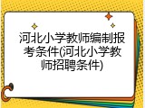河北小学教师编制报考条件(河北小学教师招聘条件)