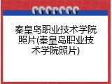 秦皇岛职业技术学院照片(秦皇岛职业技术学院照片)