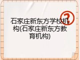 石家庄新东方学校机构(石家庄新东方教育机构)