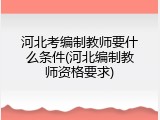 河北考编制教师要什么条件(河北编制教师资格要求)