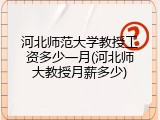 河北师范大学教授工资多少一月(河北师大教授月薪多少)
