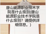 唐山能源职业技术学院是什么级别(唐山能源职业技术学院是什么级别？请提供详细信息。)