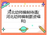 河北幼师编制待遇(河北幼师编制薪资福利)