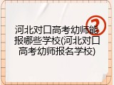河北对口高考幼师能报哪些学校(河北对口高考幼师报名学校)