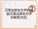 石家庄新东方学校电话(石家庄新东方学校联系方式)