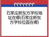 石家庄新东方学校地址在哪(石家庄新东方学校位置在哪)