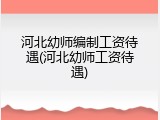 河北幼师编制工资待遇(河北幼师工资待遇)
