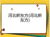 河北新东方(河北新东方)